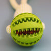 Interaktiver Snackball mit Hanfseil
