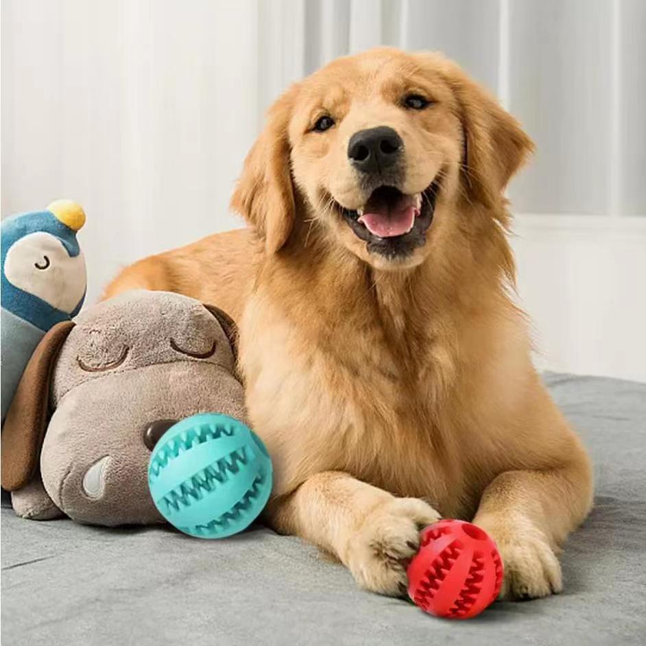 Snackball für Hunde – Detailansicht der strukturierten Oberfläche