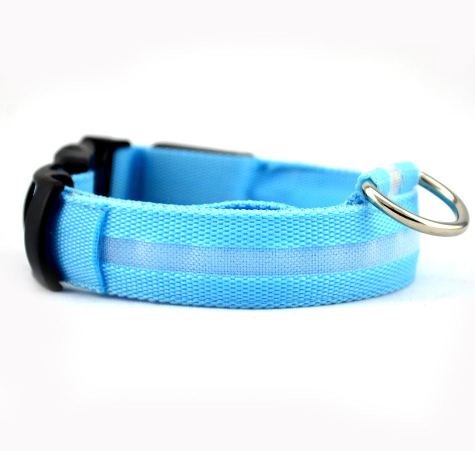 Hund trägt das Halsband bei Nacht