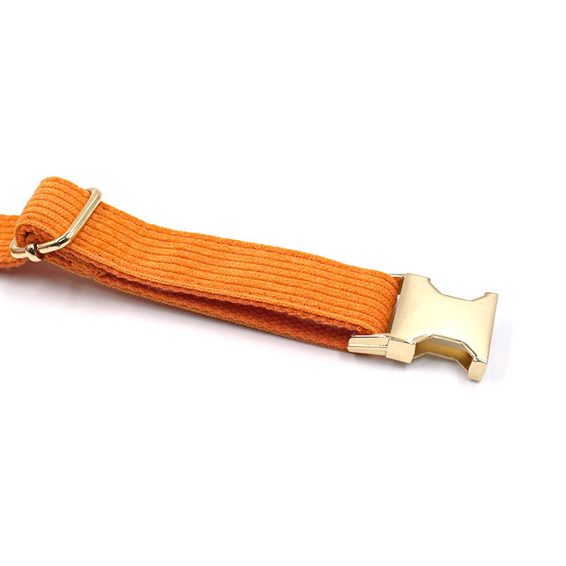 Cord-Hundehalsband mit Metallschließe – Weich & Strapazierfähig