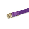 Samt-Hundehalsband in Tiefviolett mit Goldschließe
