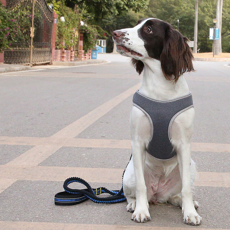Hundegeschirr aus Polyester – Verstellbar & Bequem