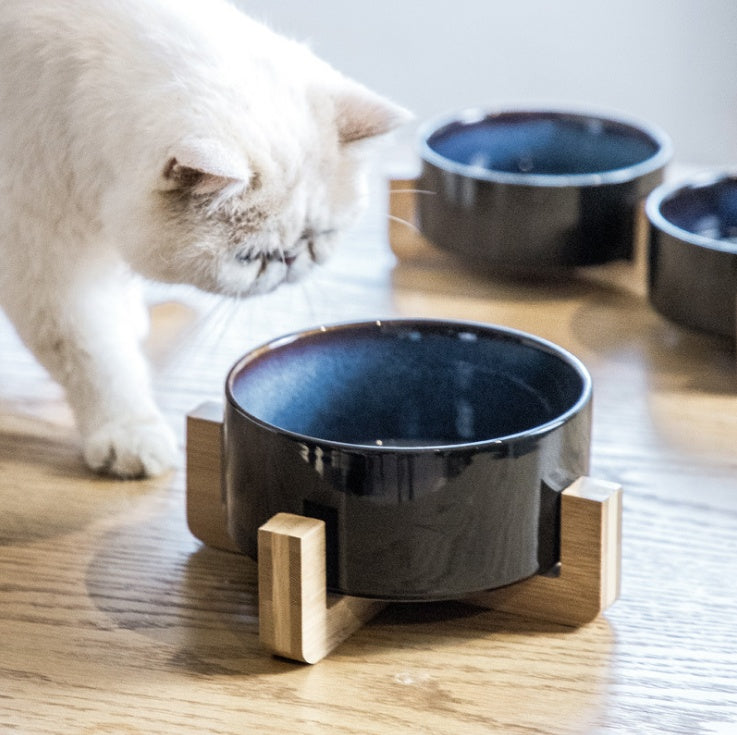 Katze frisst aus Keramiknapf – Ergonomische Höhe dank Holzständer