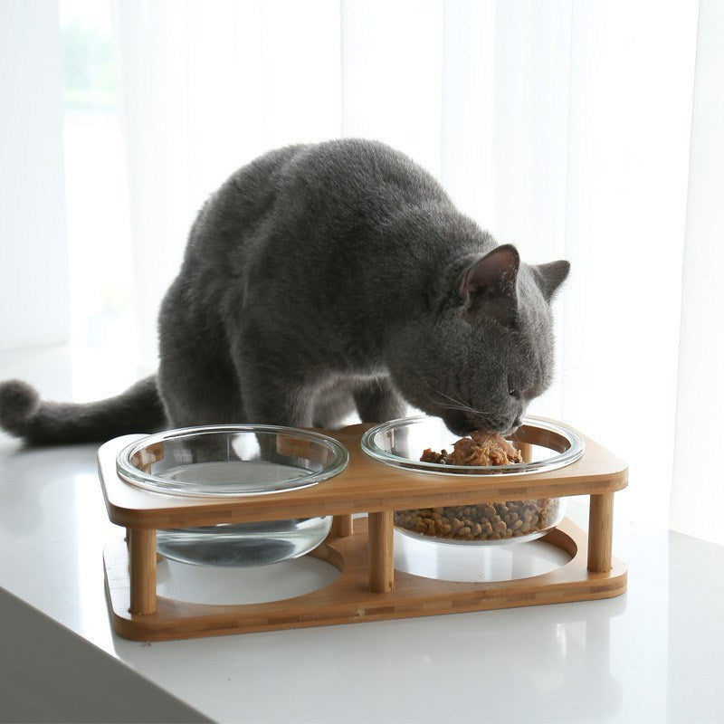 Glasnapf für Katzen – Elegant & Hygienisch