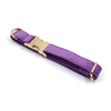 Samt-Hundehalsband in Tiefviolett mit Goldschließe