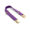 Samt-Hundehalsband in Tiefviolett mit Goldschließe