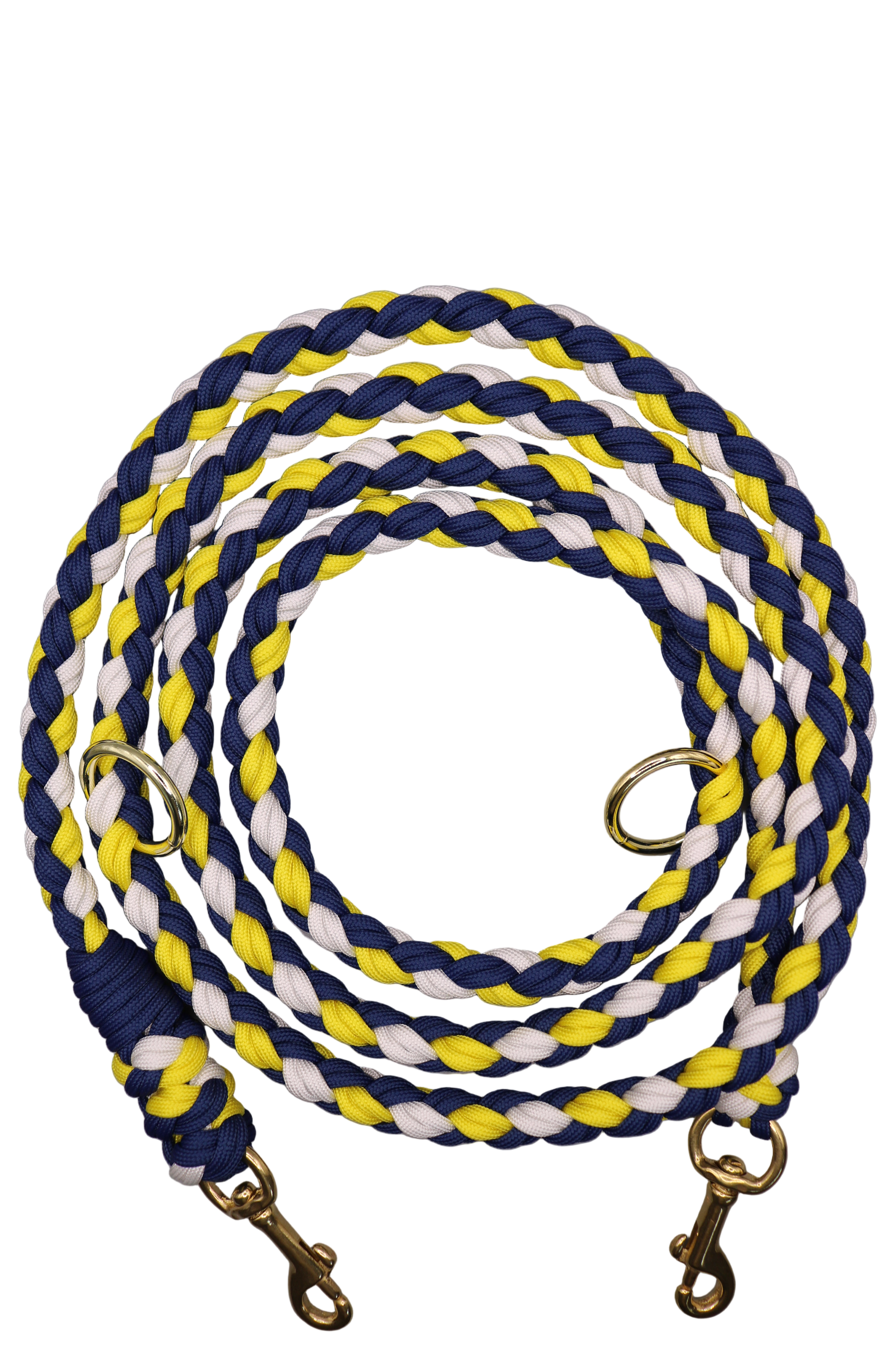 Paracord Leine Fritz klassisch und alltagstauglich - Bewährte Hundeleine für den täglichen Gebrauch