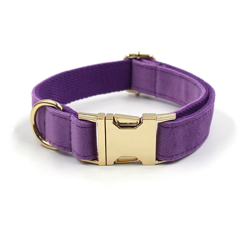 Samt-Hundehalsband in Tiefviolett mit Goldschließe