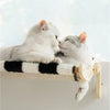 Katzen-Hängebett mit Kletterrahmen